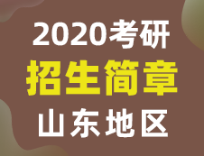 【研線網(wǎng)匯總】山東地區(qū)各大院校2020年碩士研究生招生簡(jiǎn)章